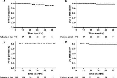 Two-Year Toxicity and Efficacy of Carbon Ion Radiotherapy in the Treatment of Localized Prostate Cancer: A Single-Centered Study